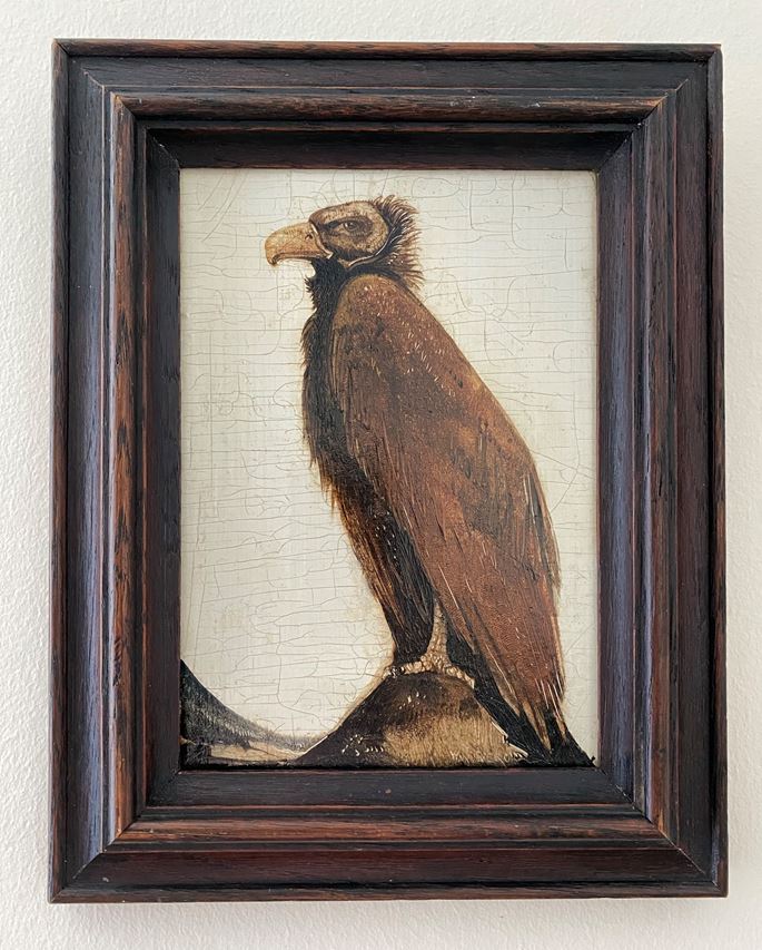 Willem VAN DEN BERG - A Eurasian Black Vulture | MasterArt